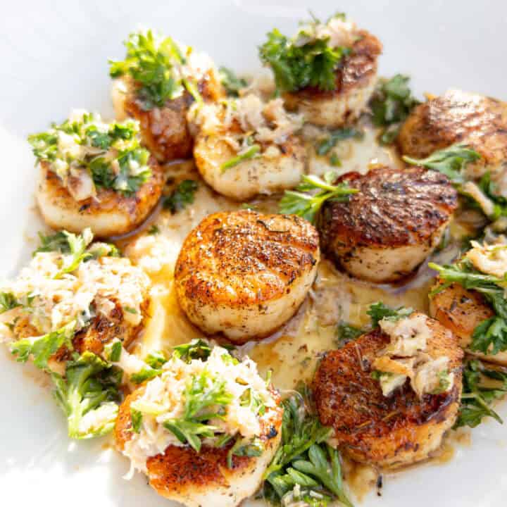 seared scallops