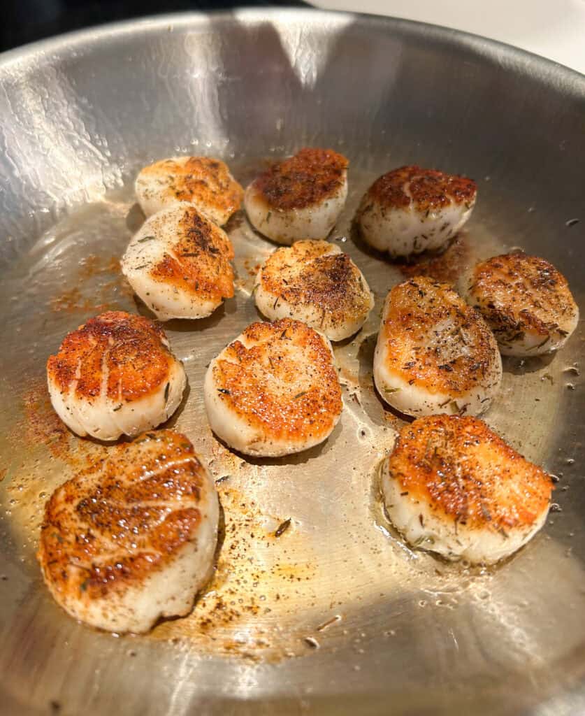 scallops